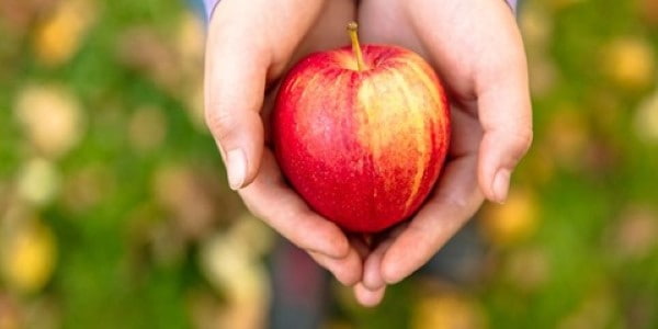 تصویر 1 از خرید سیب سرخ دماوند + قیمت فروش استثنایی